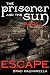 Escape (The Prisoner and the Sun #1)
