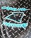 Northwest Carolina Panthers 60x80 Plush Raschel Blanket