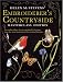 Helen M Stevens Embroiderer's Countryside (Helen Stevens' Masterclass Embroidery)