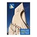 2013 Lisbon Convention Promotion DVD