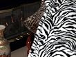 Plush White Tiger | Faux Fur Throw | Reversible | 60 Inches by 70 Inches