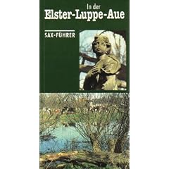 In der Elster-Luppe-Aue