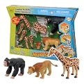 African Morphs Set