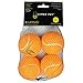 HypetPet Tennis Balls (4 Pack)