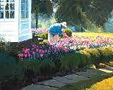 Anthony Watkins - Tulip Garden, Size: 20 x 16 Canvas Finish