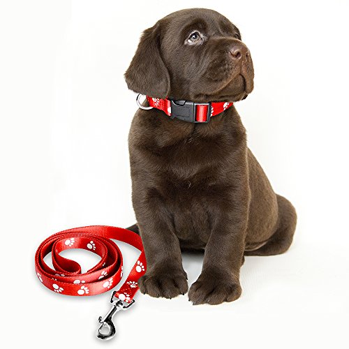Pawtime dog collar and leash set durable nylon small to…