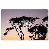 Luminescence by Cary Hahn-24x32 Canvas Art Ready t