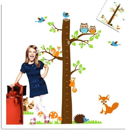 Super Large Funny Forest Zoo Birds Fox Owl Growth Chart Height Chart Wall Vinly Decal Decor Sticker Removable Wall Decal For Nursery Children's Bedroom