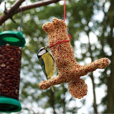 Bungee Feeder