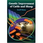 Genetic Improvement of Cattle and Sheep (Cabi Publishing) by  G. Simm