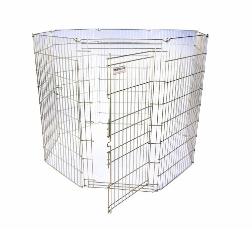 Precision Pet 48-Inch Ultimate Exercise Pen with Door, Gold Zinc