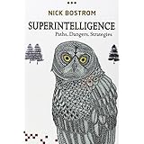 superintelligence paths dangers strategies