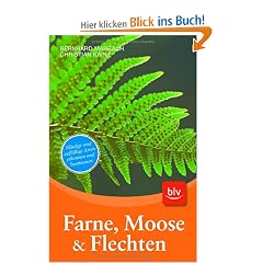 Farne, Moose und Flechten: H�ufige und auff�llige Arten erkennen und bestimmen
