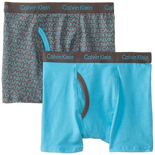 Calvin Klein Boy's 2 Pack Logo and Solid Boxer Briefs, Assorted, X-Large/16/18