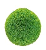 from Solus Garden and Leisure Ltd Botanico PNI0599 46 cm Grass Topiary Ball Model PNI0599