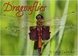 Dragonflies Calendar 2008