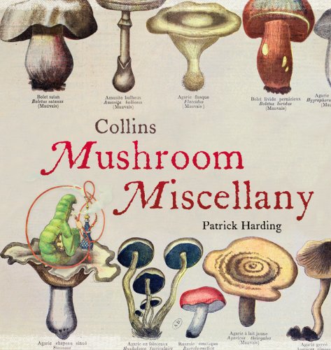 Mushroom