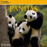 National Geographic Pandas 2009 Calendar