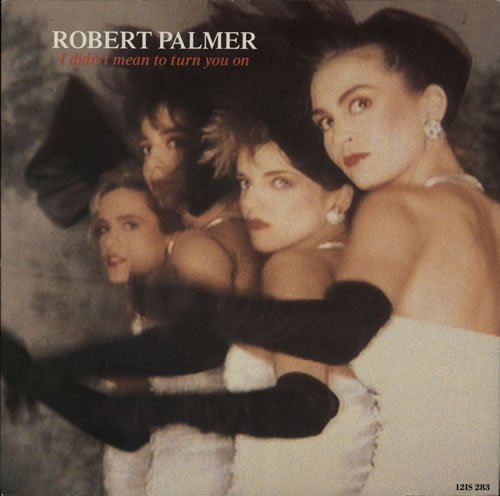 Robert Palmer - I Didnt Mean To Turn You On - Zortam Music