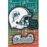 (24x36) Miami Dolphins Helmet LOGO POSTER NFL Dan Marino RARE