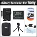 Battery And Charger Kit For Sony DSC-TX10 DSC-W510 DSC-W530 DSC-W570 DSC-W560 DSC-WX9 DSC-T110 DSC-TX100V DSC-TX55 DSC-W550 DSC-TX66 Digital Camera Includes Replacement Sony NP-BN1 (1100 mAH) Extended Rechargeable Battery + AC/DC Charger + Hard Case +More