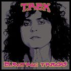 Electric Tracks [Vinyl] by T-Rex (Vinyl - 2009)