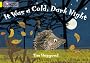 Collins Big Cat - It Was a Cold Dark Night: Band 3/Yellow