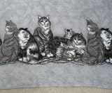 Kitten Kitty Cat Double Border Fleece Throw Blanket in Grey