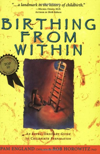 Birthing from Within: An Extra-Ordinary Guide to Childbirth Preparation