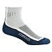 Icebreaker Bike/Run Lite Mini Sock - Men's