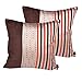 Yoovimin2pcs Throw Pillow Case Decorative Cushion Cover Pillowcase for Sofa More Style 18 