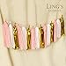 Ling's moment Paper Tassel Garland, Tissue Paper Tassels for Wedding, Baby Shower and Party Decorations, 15 pcs DIY Kits - (Pink+Metallic Gold+White), Pack of 2