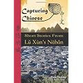 Capturing Chinese Short Stories from Lu Xun's Nahan: A guide to help students of Chinese read Chinese literature, learn Chinese history, and study Chinese characters