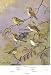 7.5 X 11 Double-Sided 1955 Colour Plate, (American Birds) Cedar & Bohemian Waxing, Migrant & Northern Strike & Vireo's