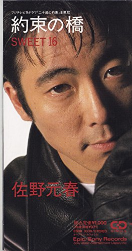 約束の橋 佐野元春 カラオケ