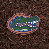 Florida Gators NCAA Stepping Stone