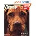 Vizslas (Barron's Complete Pet Owner's Manuals)