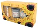 Burt's Bees Radiance Face Care Kit (Tagescreme, Nachtcreme Mini, Lip Shimmer Radiance)