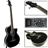 Bass Guitar Acoustic Electric