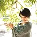 風のおと