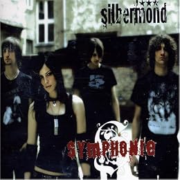 Silbermond Foto 8