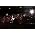 Thumbnail image of The Verve