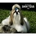 shih_tzu32shih tzu - For the Love of Shih Tzus 2010 Deluxe