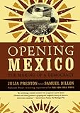 Opening Mexico: The Making of a Democracy