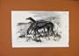 Greyhounds Lady Clare Asylum C1857 London News Print