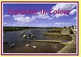Topsham in colour