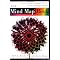 Top 10 books on VISUAL MAPS & VISUAL THINKING by Prof. Krasnic