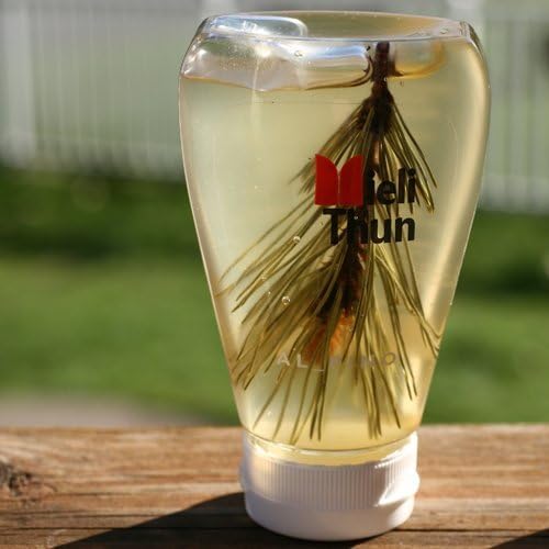 Pine and Acacia Honey by Mieli Thun (8.8 ounce) by Mieli Thun