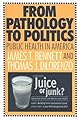 From Pathology to Politics: Public Health in America