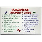 CafePress Havanese Property Laws 2 Rectangle Magnet - Standard Multi-color